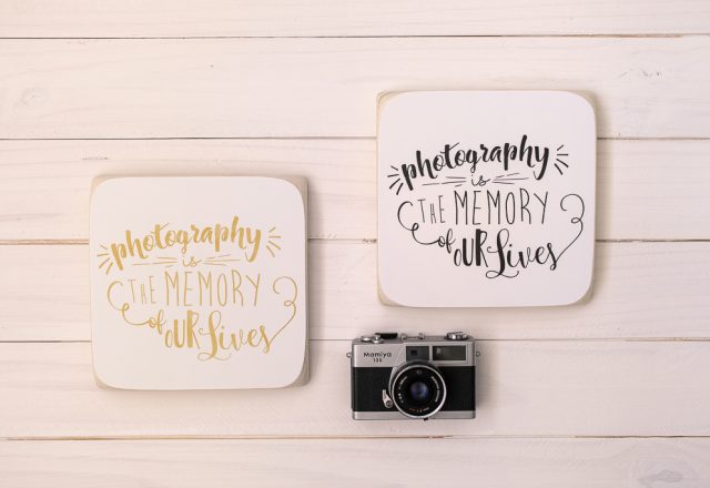 Photography is the Memory of Our Lives (quote)